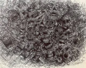 Image posted by the member