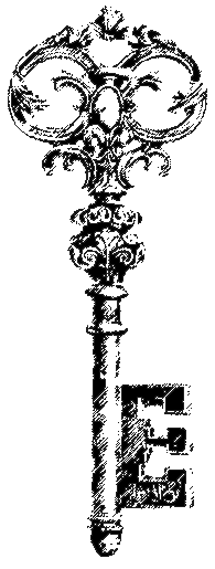 Image posted by the member