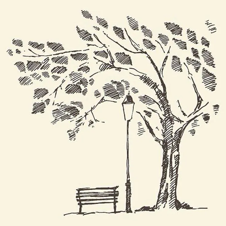 Image posted by the member