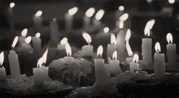 Image posted by the member