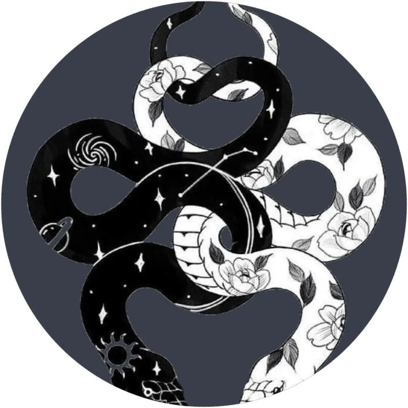 Image posted by the member