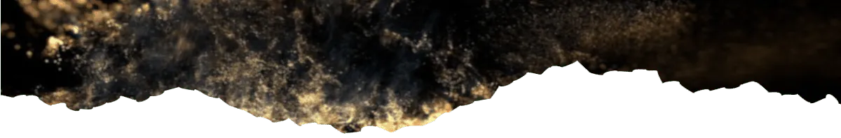 Image posted by the member