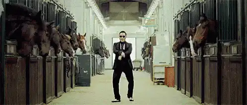 Image posted by the member