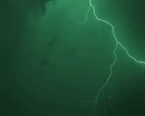 Image posted by the member