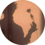 Image posted by the member