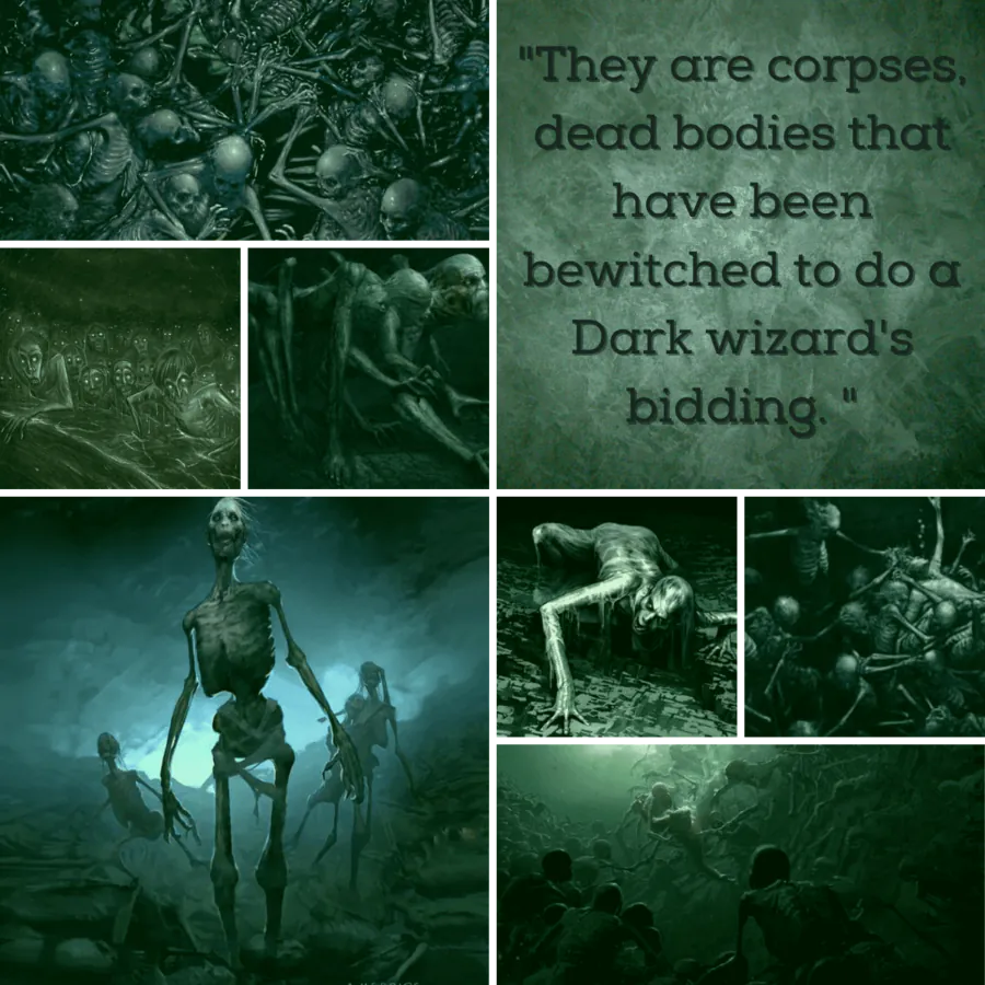 Image posted by the member