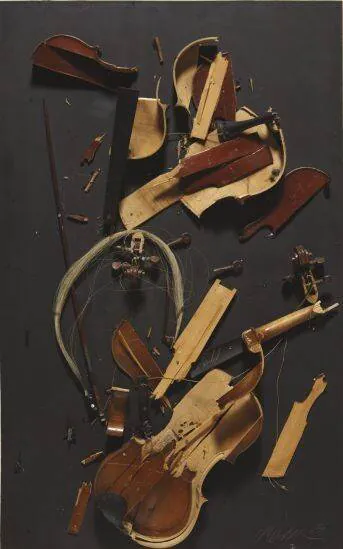 Image posted by the member