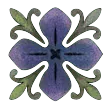 Image posted by the member