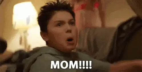Image posted by the member