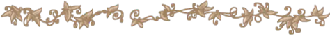 Image posted by the member
