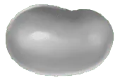 Image posted by the member
