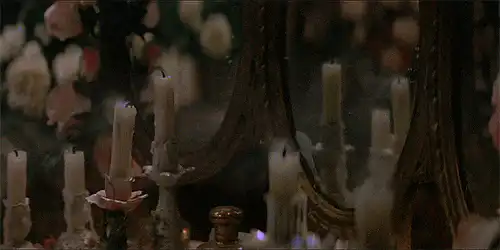 Image posted by the member