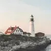 Image posted by the member