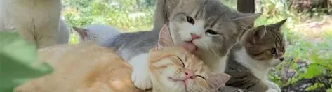 Image posted by the member