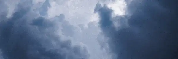 Image posted by the member