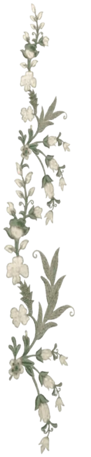 Image posted by the member