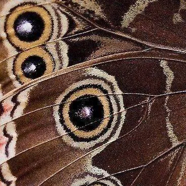 Image posted by the member