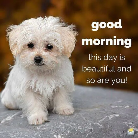 Image posted by the member