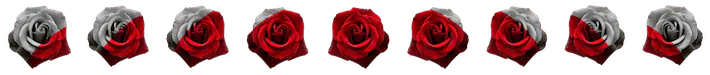 Image posted by the member