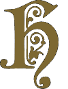 Image posted by the member