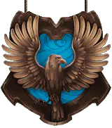 Image posted by the member
