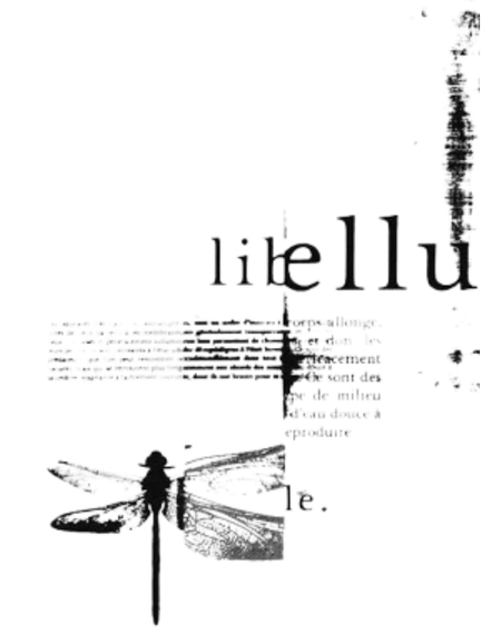 words