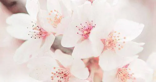Image posted by the member