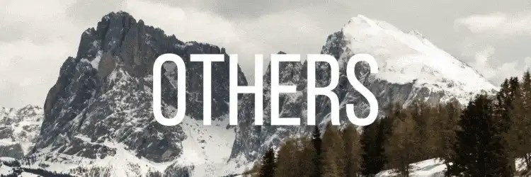 Image posted by the member