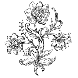 Image posted by the member