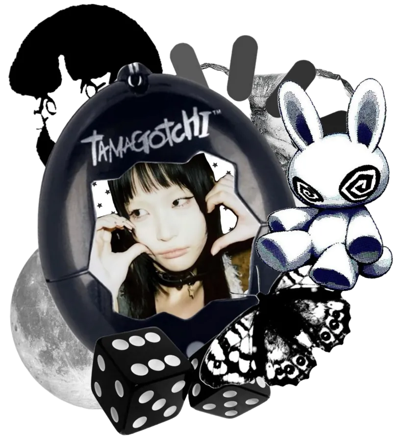 Image posted by the member