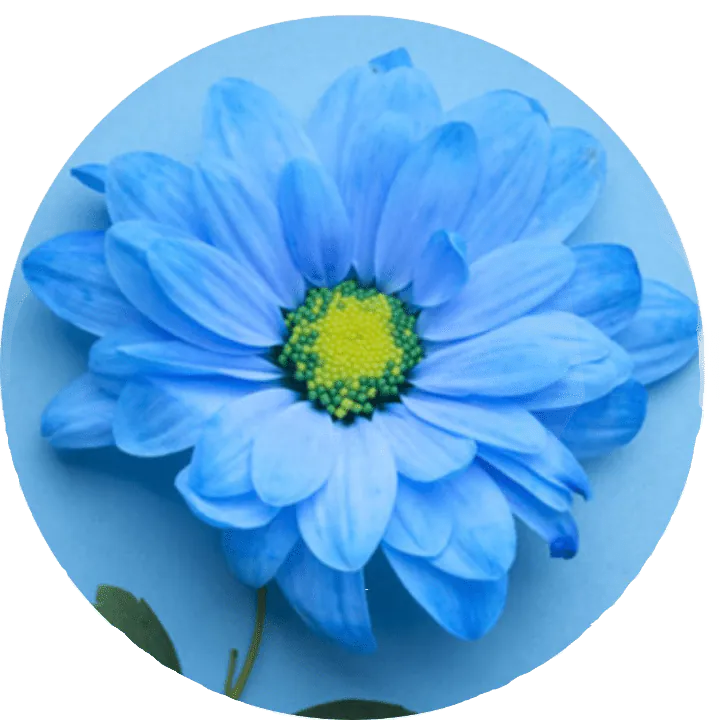 Image posted by the member