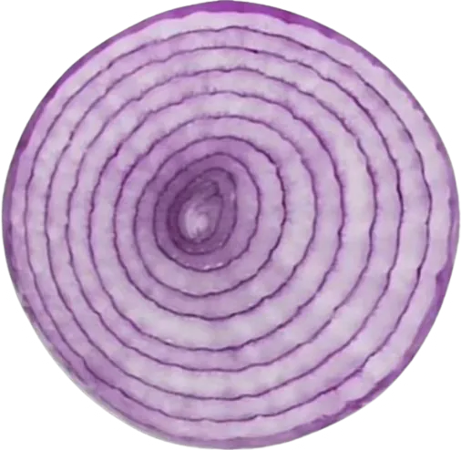 Image posted by the member
