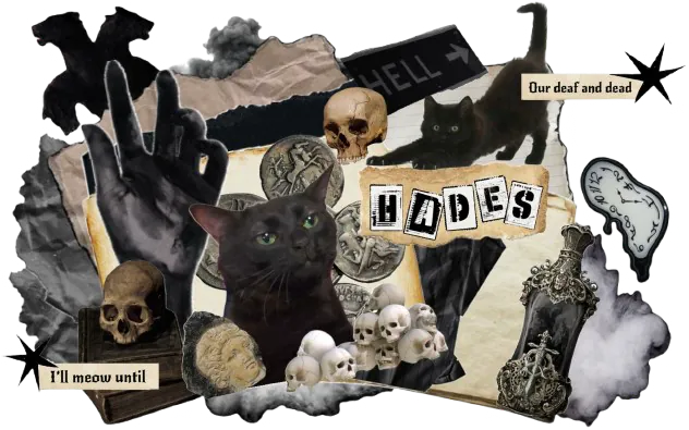 Image posted by the member