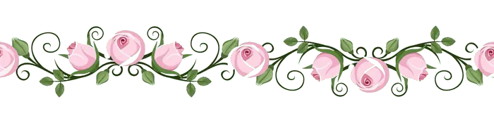 Image posted by the member