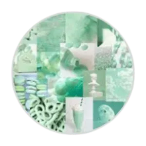 Image posted by the member