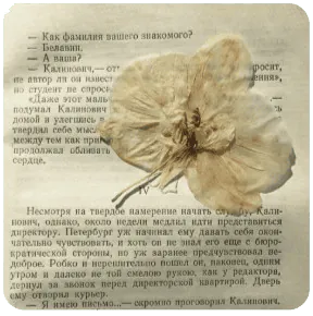 Image posted by the member