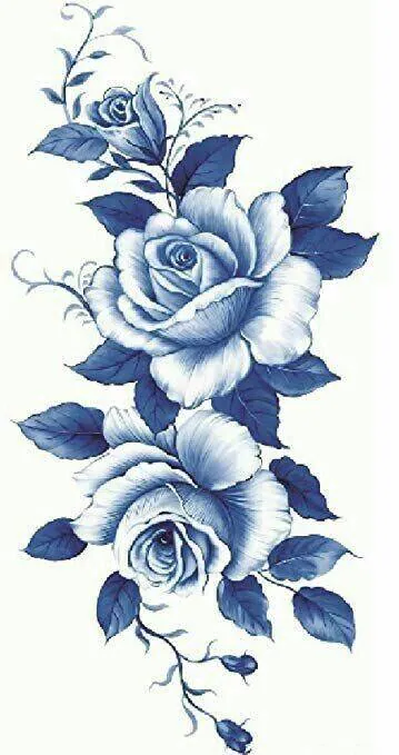 Image posted by the member
