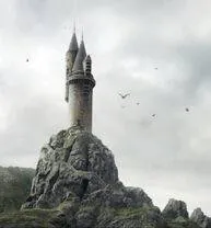 Image posted by the member