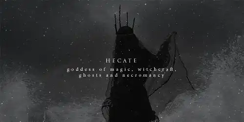 Image posted by the member