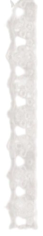 Image posted by the member