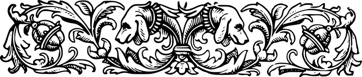Image posted by the member