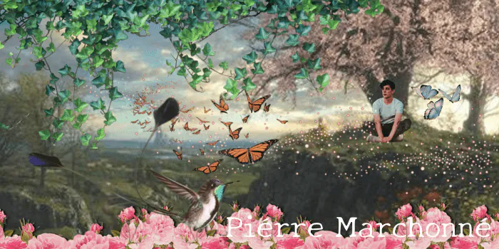 Image posted by the member