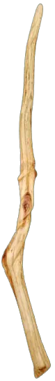 Image posted by the member