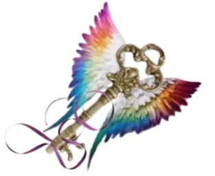 Image posted by the member