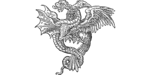 Image posted by the member