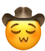 Image posted by the member