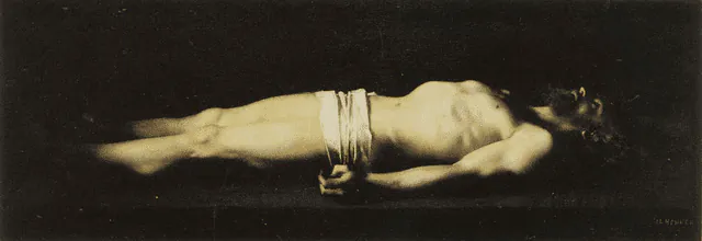 Image posted by the member