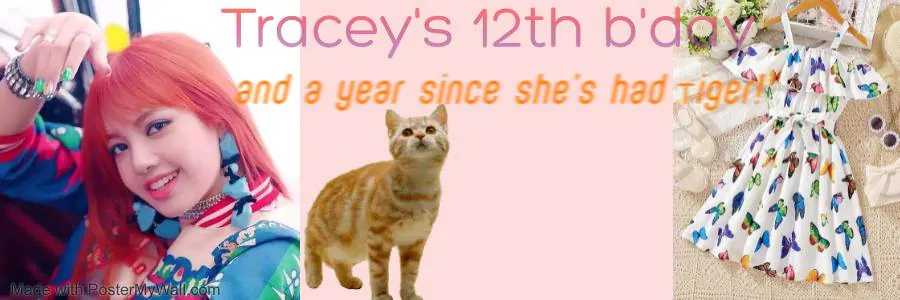 Image posted by the member