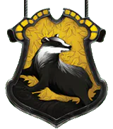 Image posted by the member