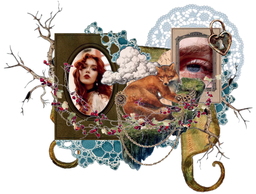 Image posted by the member